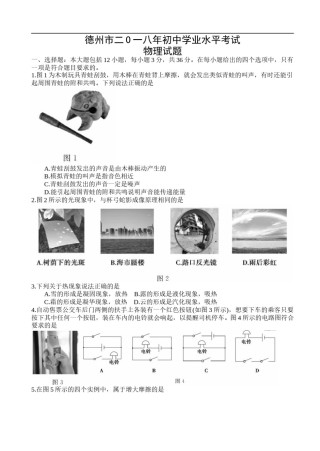 2018年德州市中考物理试题及答案.doc