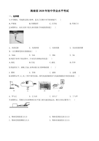 2020年海南中考物理试题及答案.doc