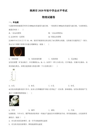 2020年湖南省株州市中考物理试题.doc