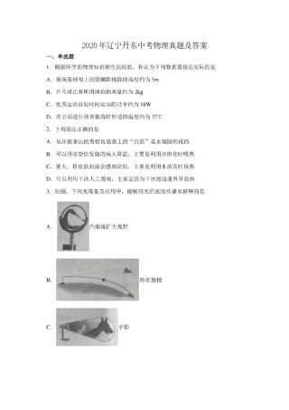 2020年辽宁丹东中考物理真题及答案.doc