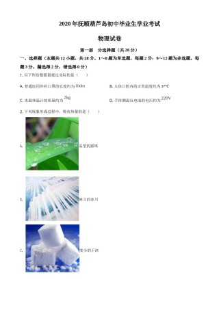 2020年辽宁省抚顺、葫芦岛市中考物理试题（原卷版）.doc
