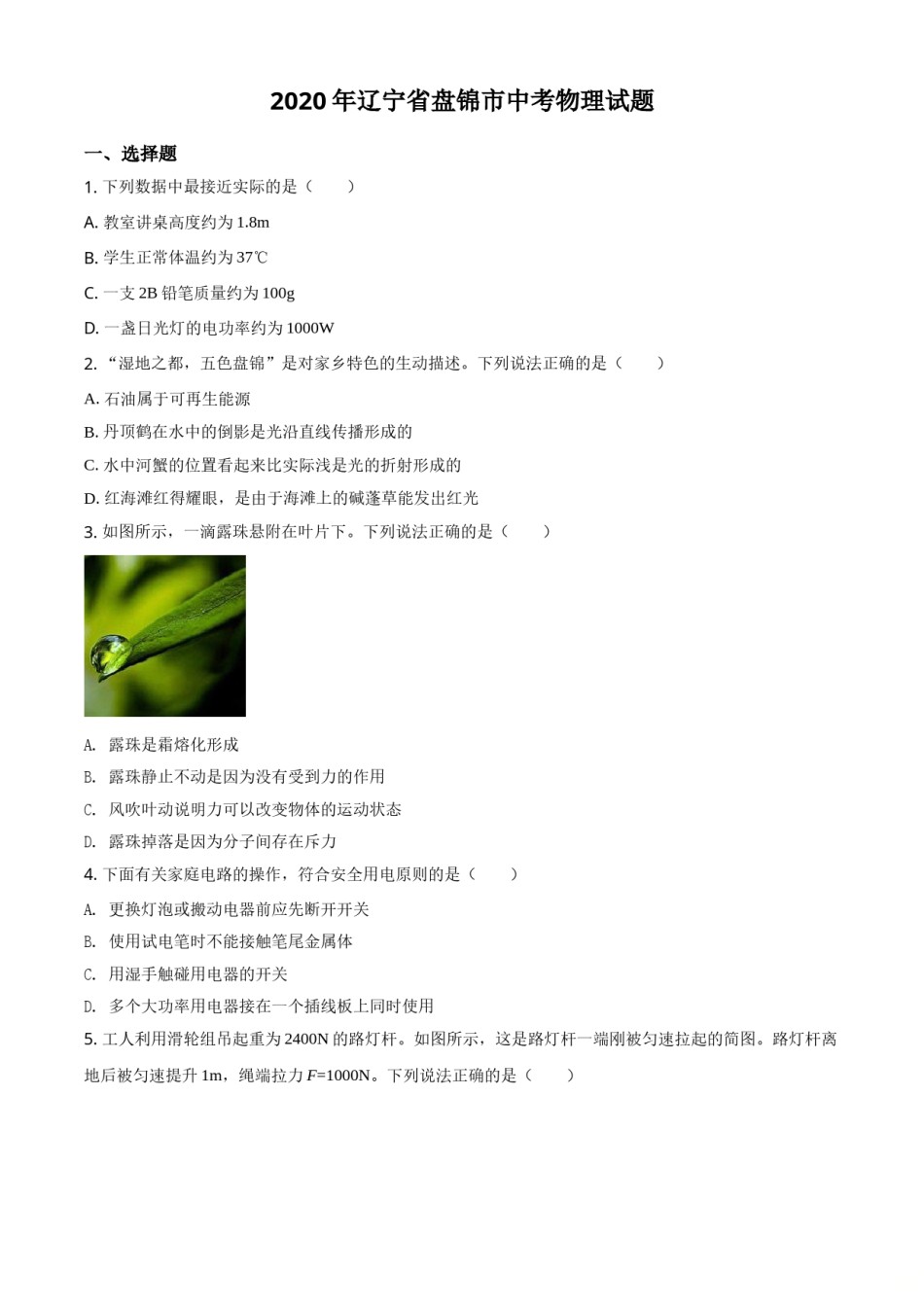 2020年辽宁省盘锦市中考物理试题（空白卷）.doc_第1页