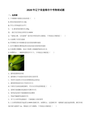 2020年辽宁省盘锦市中考物理试题（空白卷）.doc