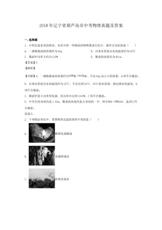 2018年辽宁省葫芦岛市中考物理真题及答案.doc