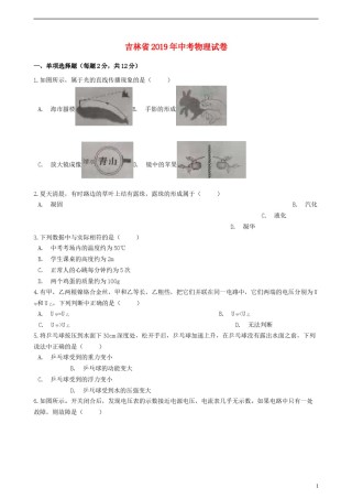 吉林省2019年中考物理真题试题（含解析）.docx