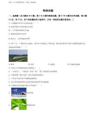 精品解析：2022年四川省乐山市中考物理试题（原卷版）.docx