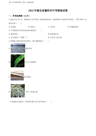 精品解析：2022年湖北省襄阳市中考物理真题（原卷版）.docx