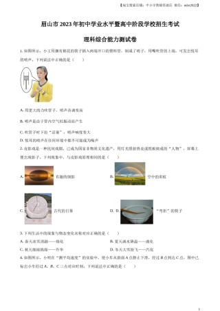 精品解析：2023年四川省眉山市中考理综物理试题（原卷版）.docx