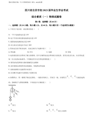 精品解析：2023年四川省自贡市中考物理试题（原卷版）.docx