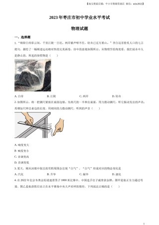 精品解析：2023年山东省枣庄市中考物理试题（原卷版）.docx