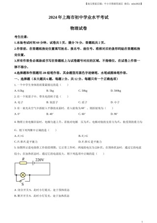 精品解析：2024年上海市中考物理试题（原卷版）.docx