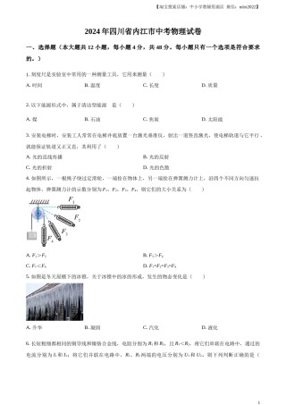 精品解析：2024年四川省内江市中考物理试题（原卷版）.docx