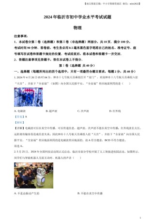 精品解析：2024年山东省临沂市中考物理真题（解析版）.docx