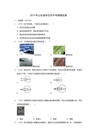 2019年山东省枣庄市中考物理试题（Word版，含解析）.docx