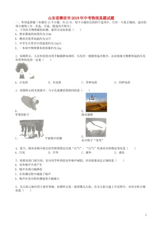 2019年山东潍坊市中考物理真word版含答案.docx