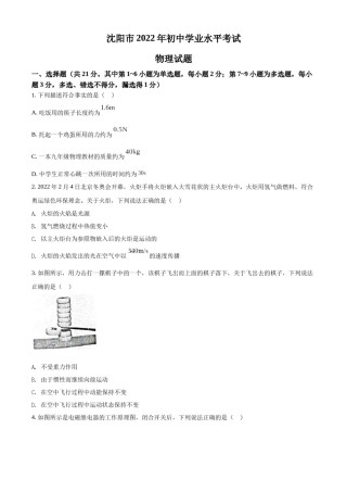 2022年辽宁省沈阳市中考物理试题（原卷版）.docx