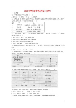 山东省枣庄市2015年中考化学真题试题（含扫描答案）.doc