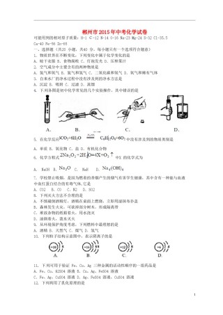 湖南省郴州市2015年中考化学真题试题（含扫描答案）.doc