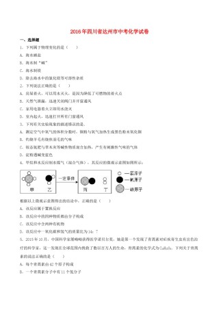 四川省达州市2016年中考化学真题试题（含解析）.DOC
