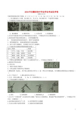 安徽省2016年中考化学真题试题（含答案）.DOC