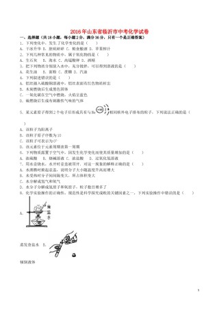 山东省临沂市2016年中考化学真题试题（含解析）.DOC