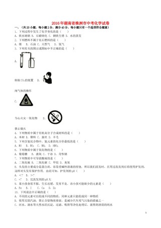 湖南省株洲市2016年中考化学真题试题（含解析）.DOC