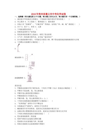 贵州省遵义市2016年中考化学真题试题（含解析）.DOC