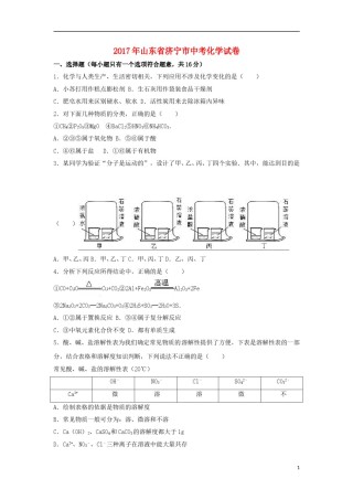 山东省济宁市2017年中考化学真题试题（含解析）.DOC