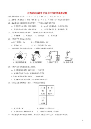 江苏省连云港市2017年中考化学真题试题（含答案）.DOC