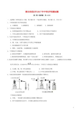 湖北省武汉市2017年中考化学真题试题（含答案）.DOC