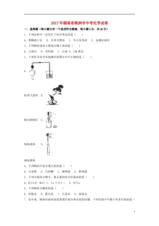 湖南省株洲市2017年中考化学真题试题（含解析）.DOC