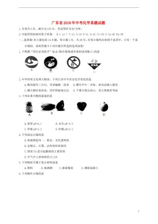广东省2018年中考化学真题试题（含答案）.doc