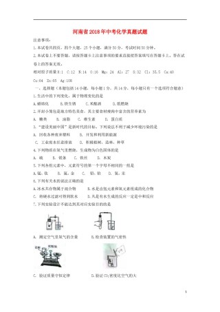 河南省2018年中考化学真题试题（含扫描答案）.doc