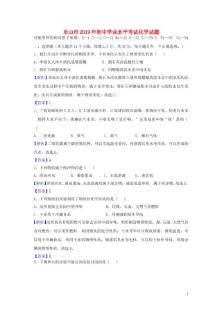 四川省乐山市2019年中考化学真题试题（含解析）.doc