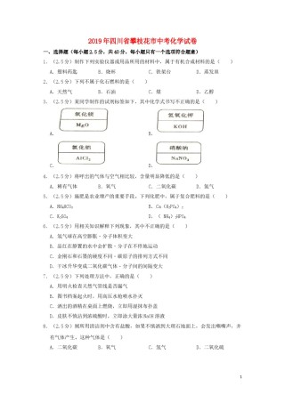 四川省攀枝花市2019年中考化学真题试题（含解析）.doc
