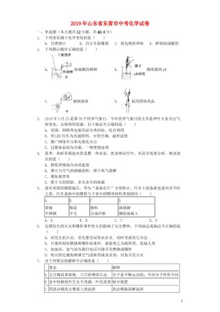 山东省东营市2019年中考化学真题试题（含解析）.docx