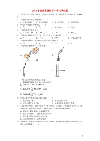湖南省益阳市2019年中考化学真题试题（含解析）.docx