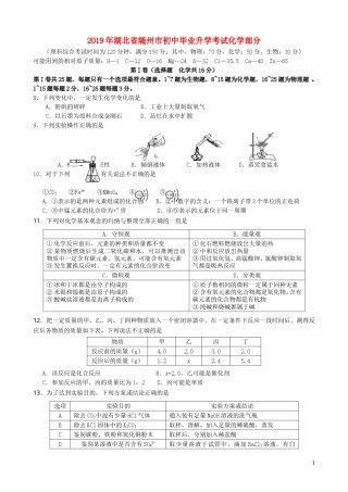 湖北省随州市2019年中考化学真题试题.doc