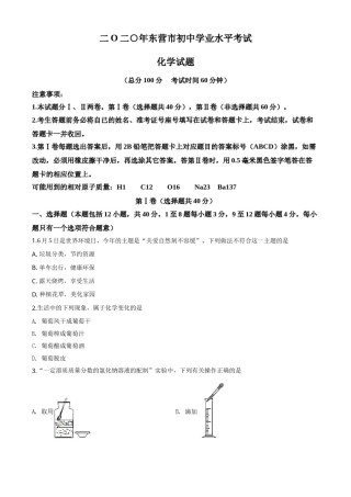 精品解析：山东省东营市2020年中考化学试题（原卷版）.doc