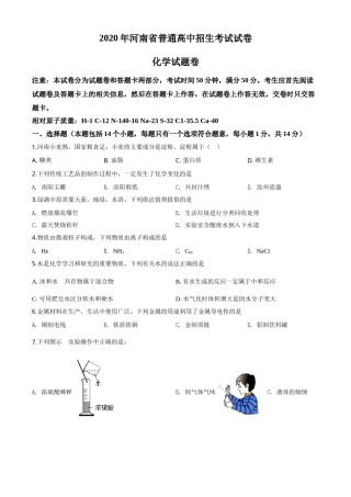 精品解析：河南省2020年中考化学试题（原卷版）.doc