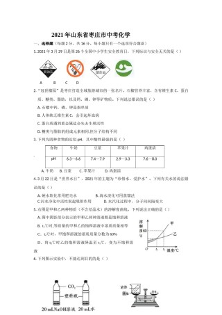 21枣庄中考化学原卷.doc