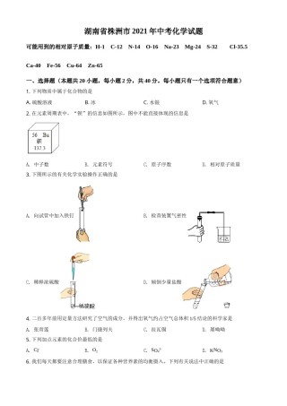 湖南省株洲市2021年中考化学试题（原卷版）.doc