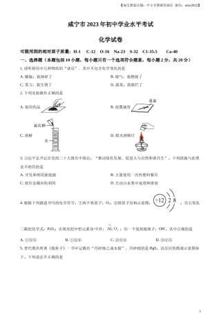 精品解析：2023年湖北省咸宁市中考化学真题（原卷版）.docx