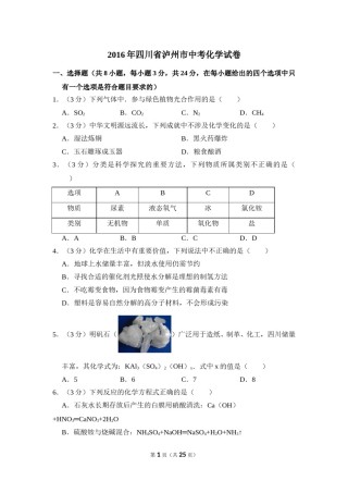 2016年四川省泸州市中考化学试卷（含解析版）.doc