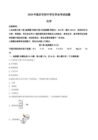 2020年山东省临沂市中考化学试题及答案.doc