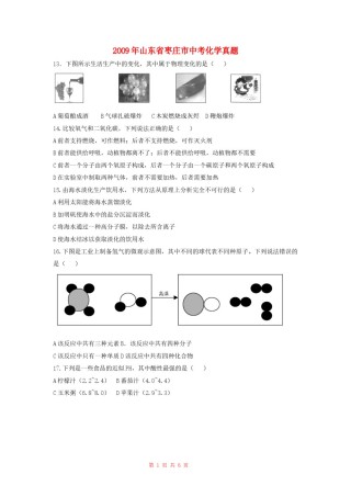 2009年枣庄市中考化学试卷及答案.doc