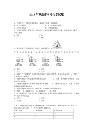 2014年枣庄市中考化学试卷及答案.doc