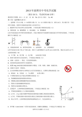 2013年淄博市化学中考试题及答案解析.doc