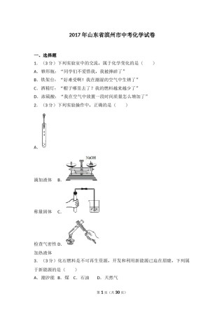 2017年滨州市中考化学试卷及解析.doc