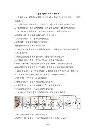 2018年滨州市中考化学试卷.doc